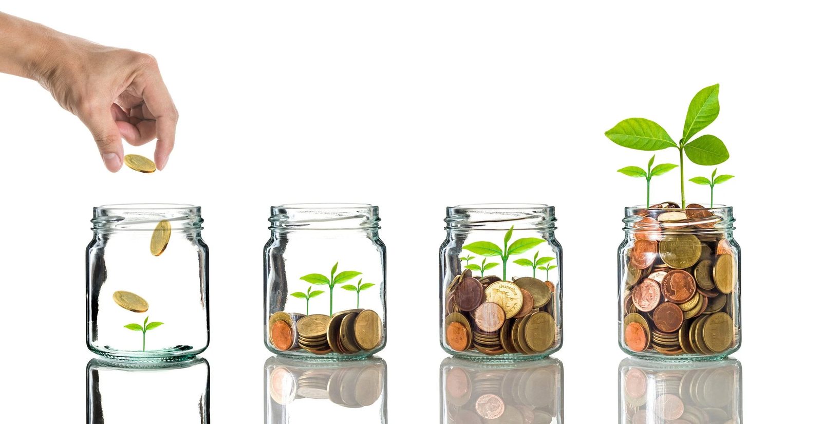 How Much Should You Invest Per Month as a Beginner?